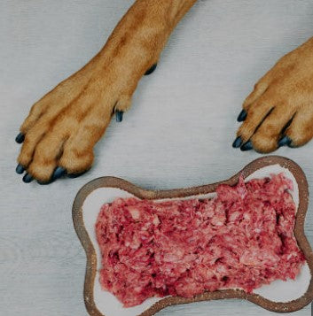 Dog Food Raw 500g