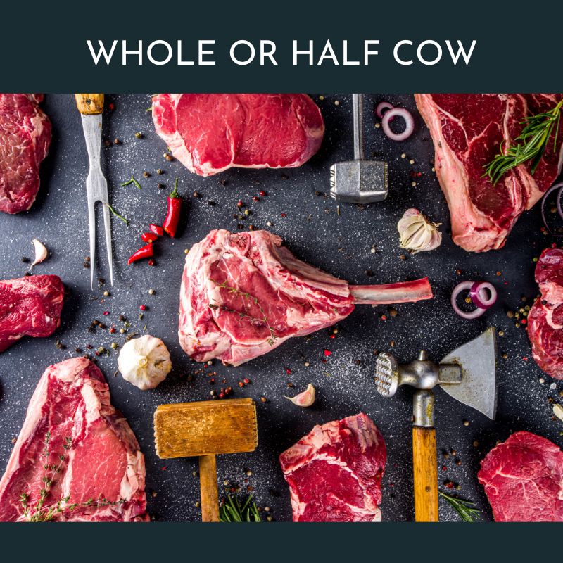 Fill Your Freezer with Premium Grass-Fed Beef from Hurunui Farms