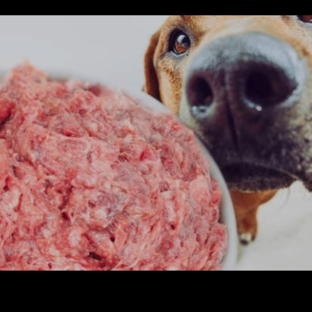 Dog Food Raw 500g