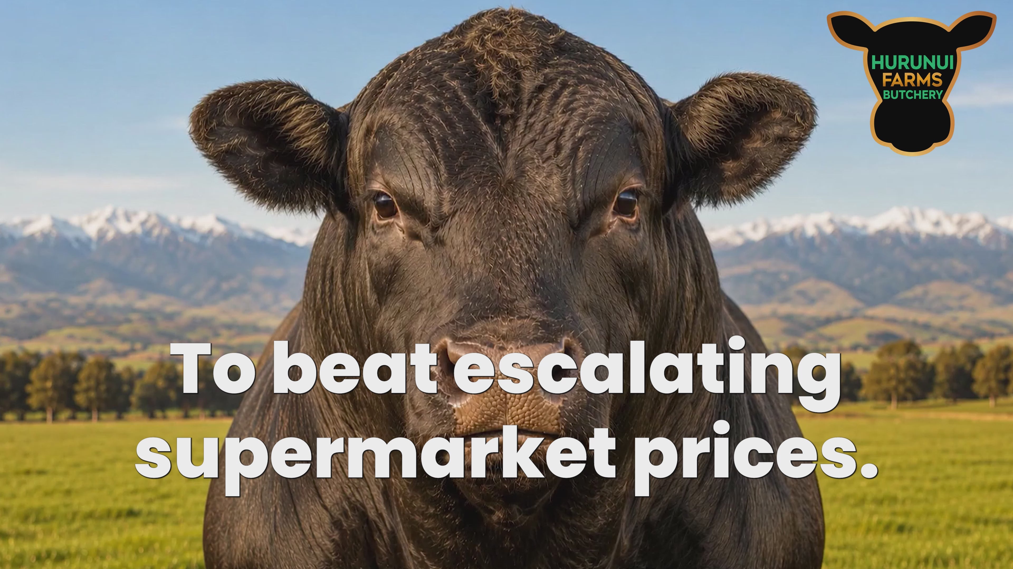Load video: Whole or Hald Prime ANGUS beef