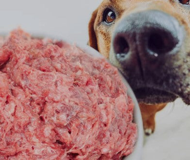 Dog Food Raw 500g